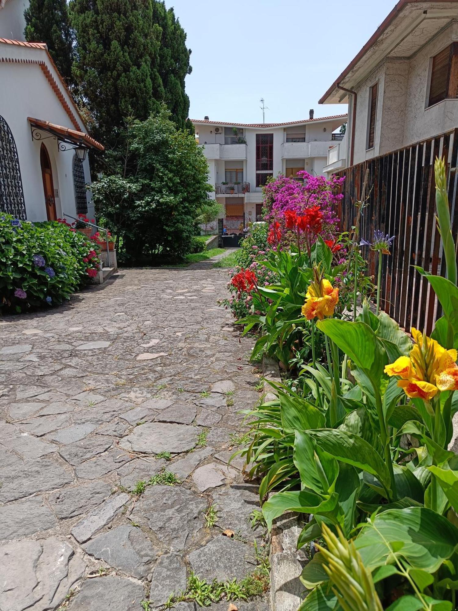 Apartment Casa Olivella Torre del Greco