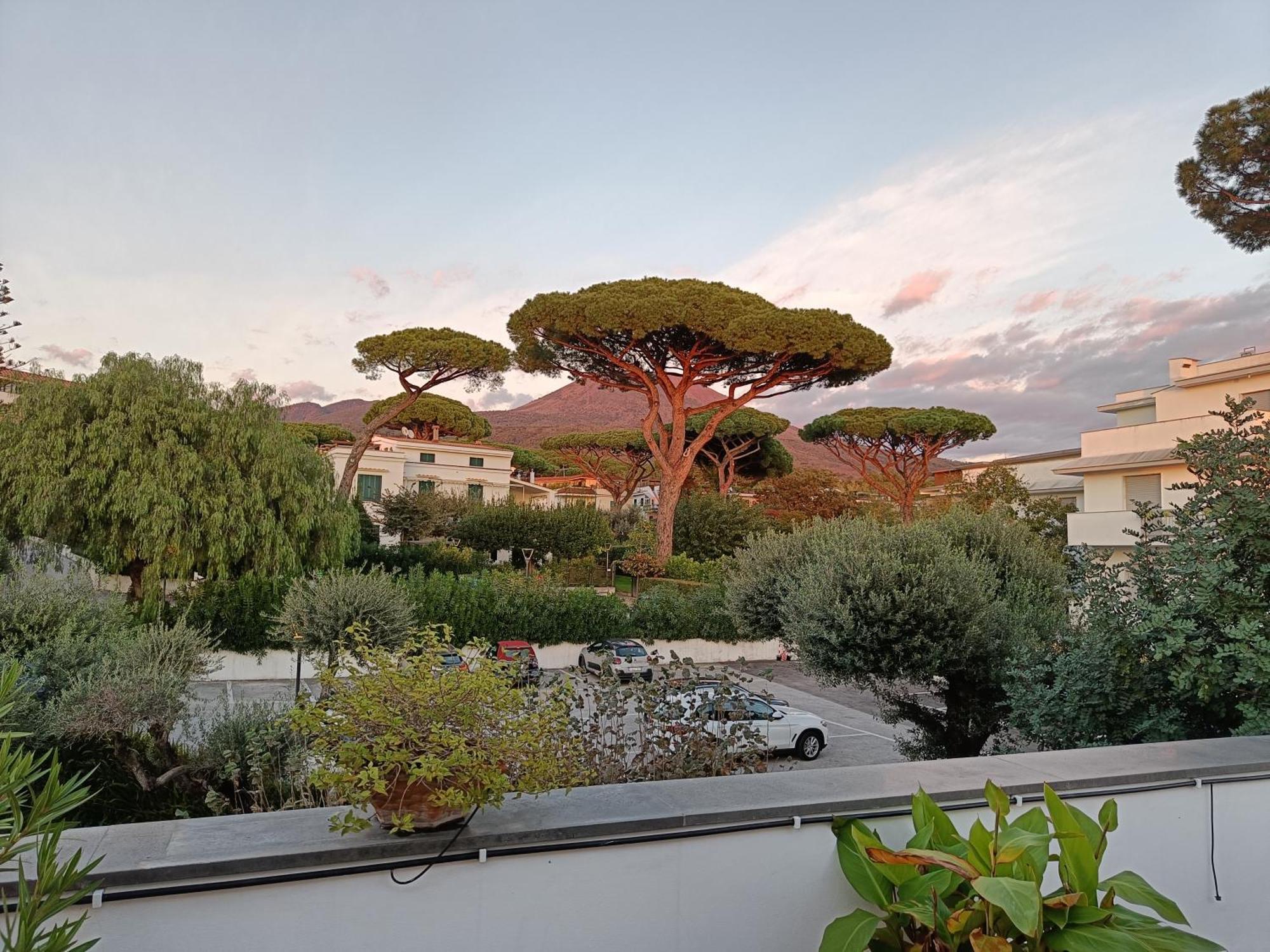Apartment Casa Olivella