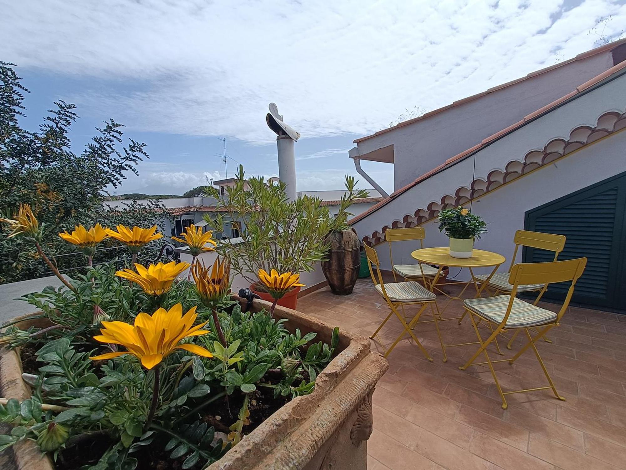 Casa Olivella Apartment
