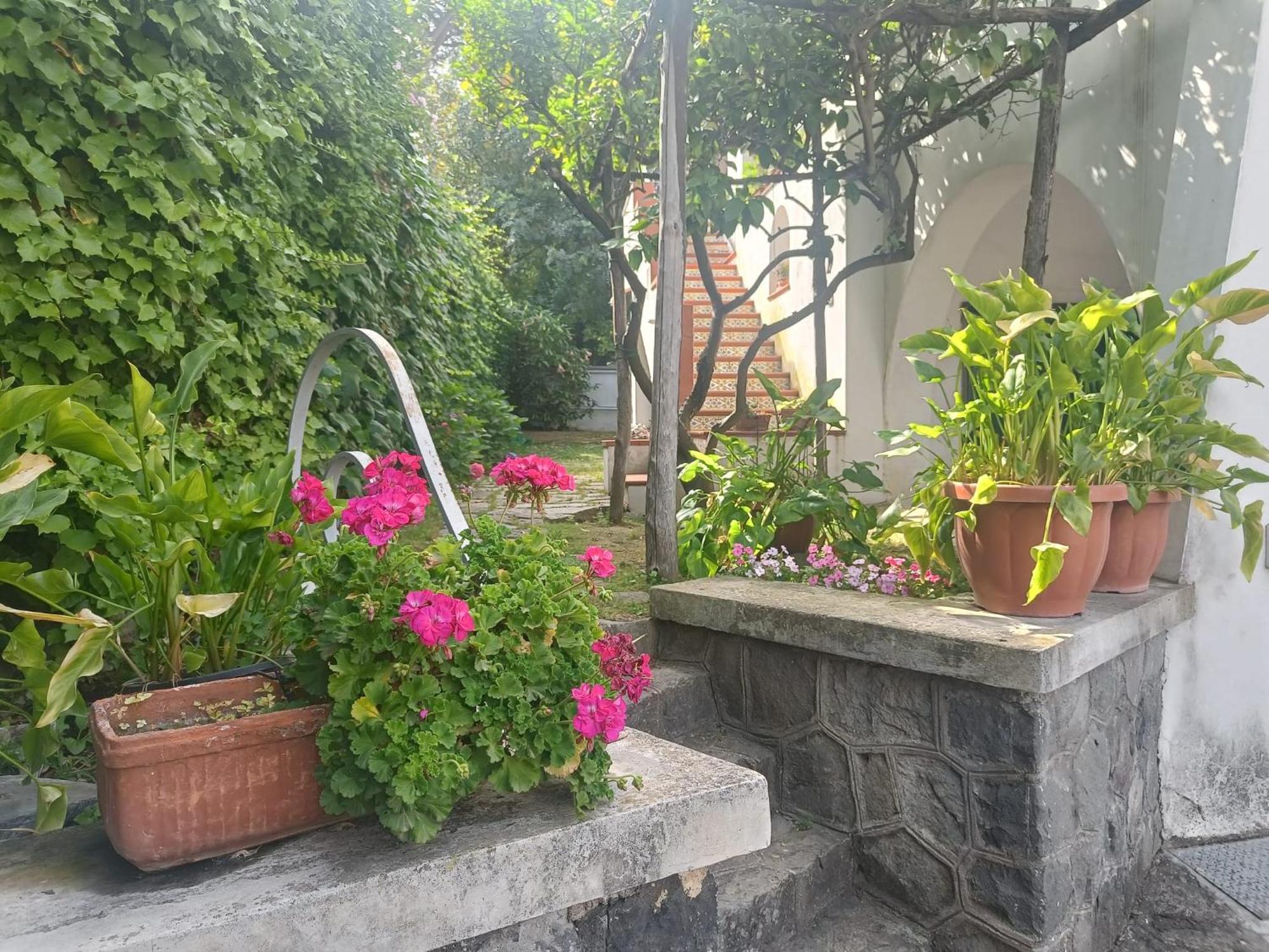 Casa Olivella Apartment *